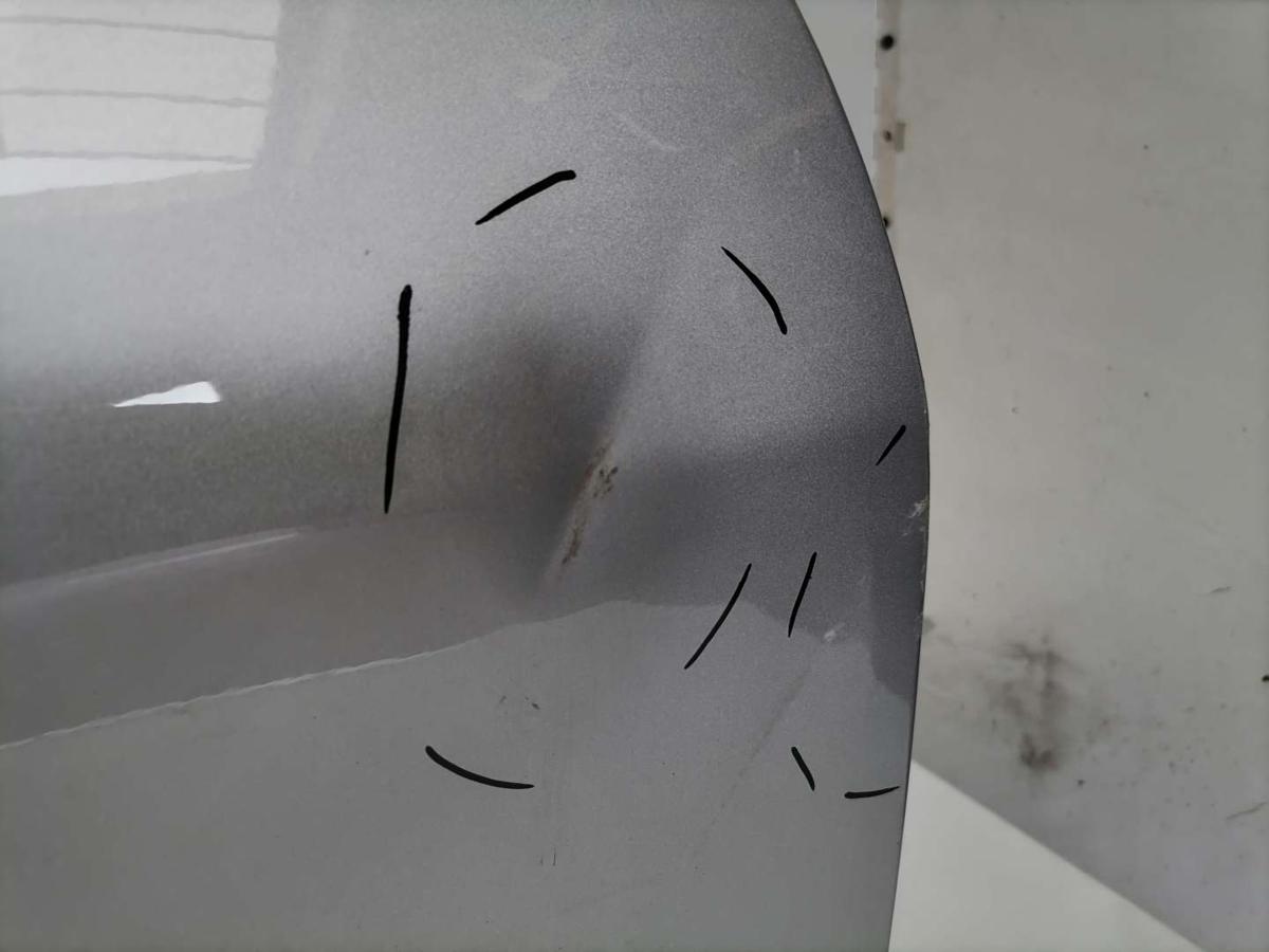 Ford Fiesta MK7 original Tür vorn rechts Polar Silber Metallic 3-Türer Delle vorn Bj.2018